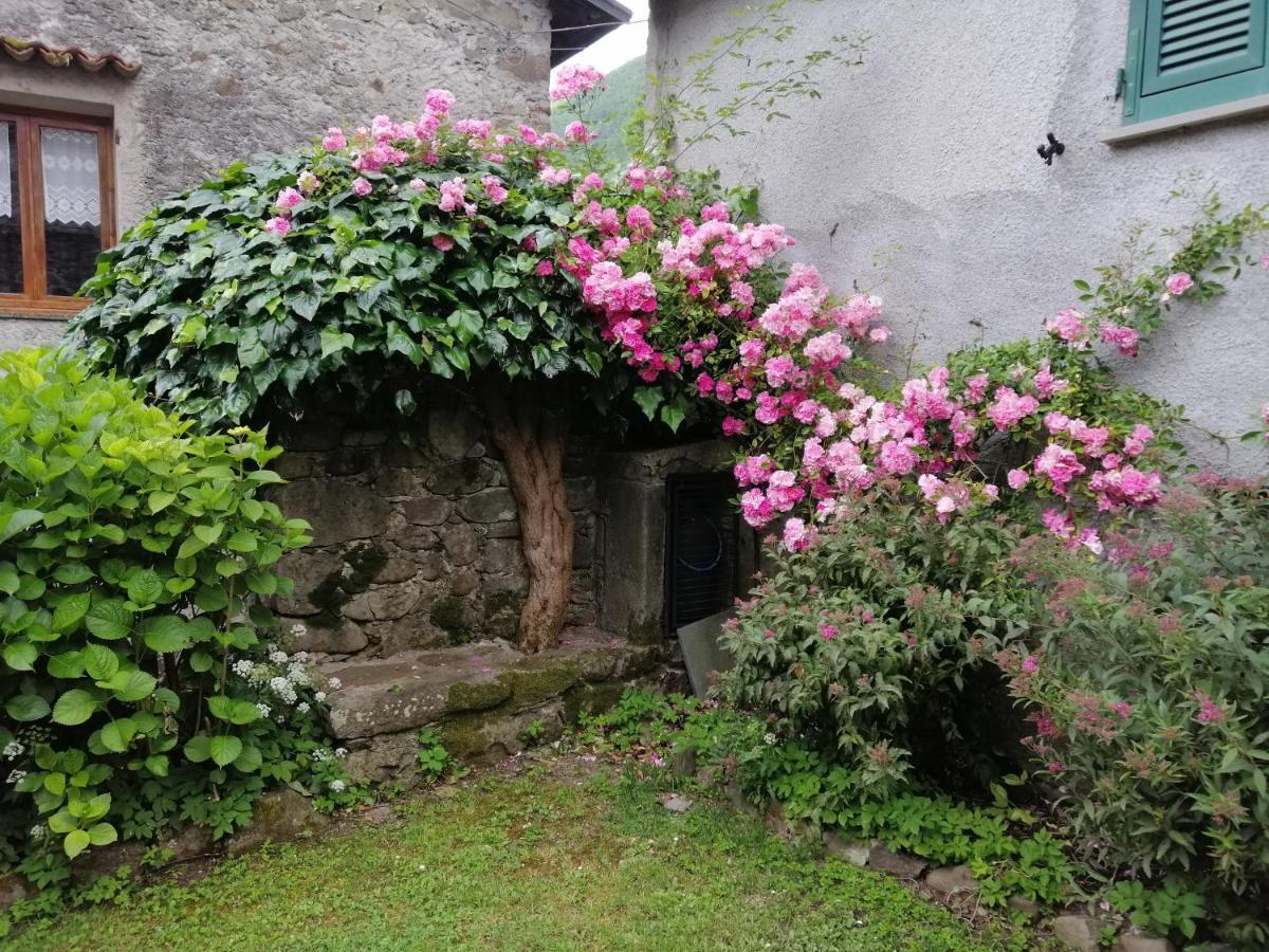 B&B Alle Ortensie Blu Sesta Godano Exterior foto