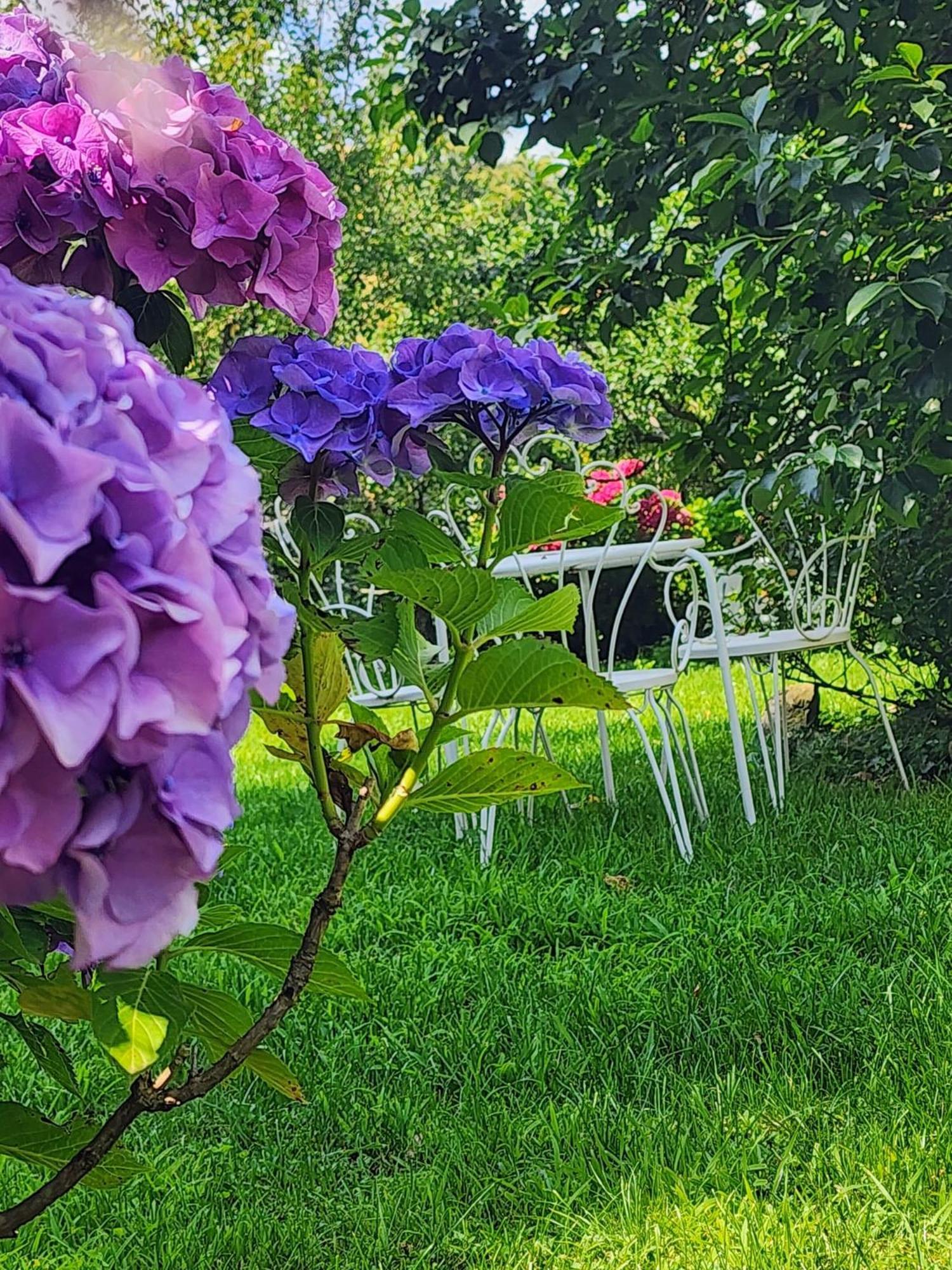 B&B Alle Ortensie Blu Sesta Godano Exterior foto