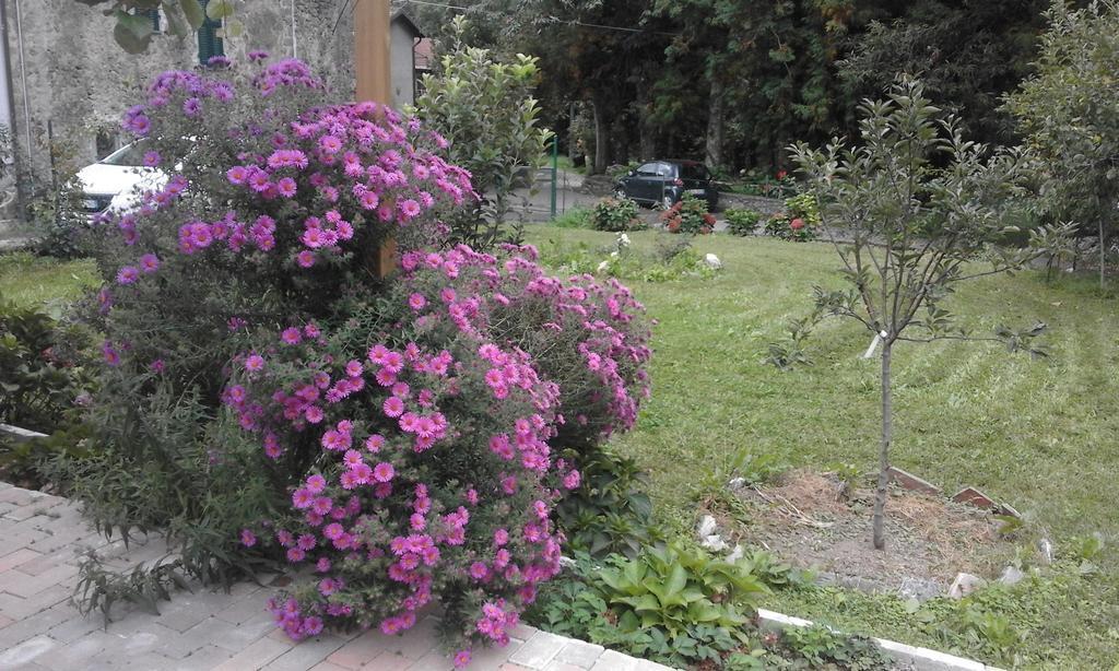 B&B Alle Ortensie Blu Sesta Godano Exterior foto