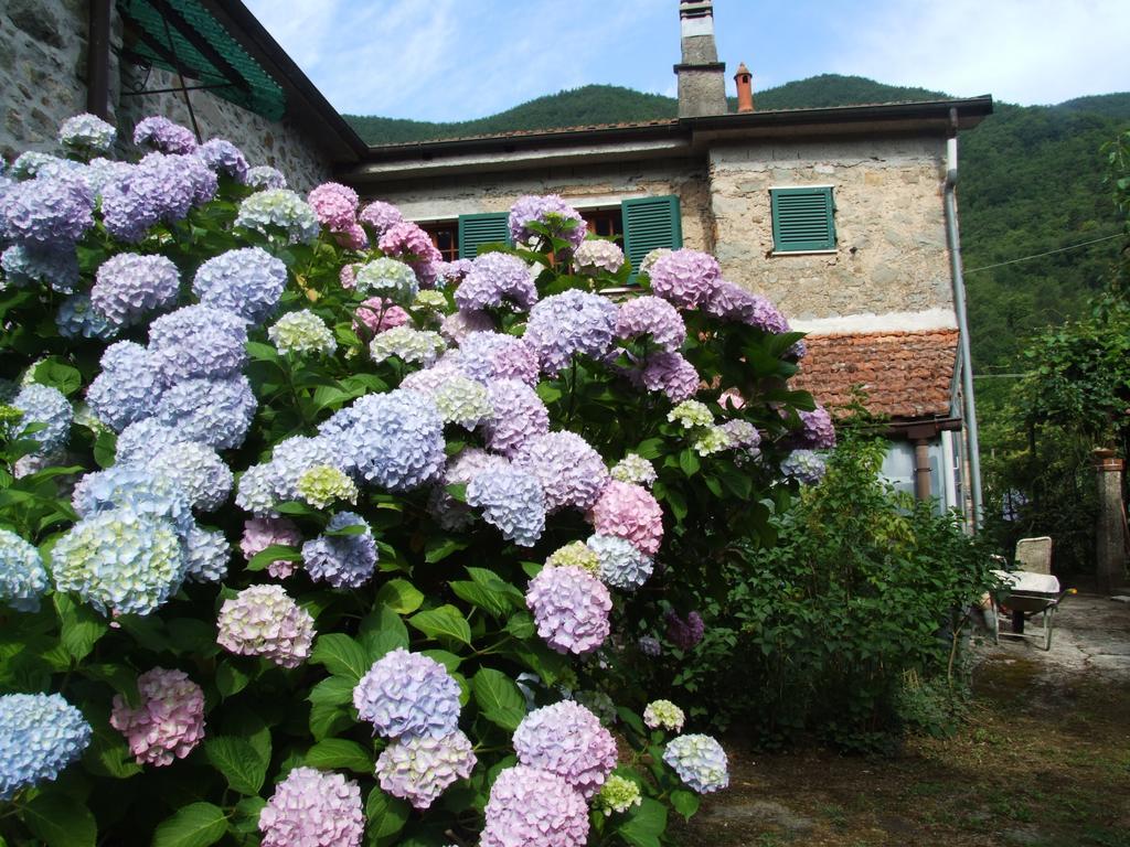 B&B Alle Ortensie Blu Sesta Godano Exterior foto