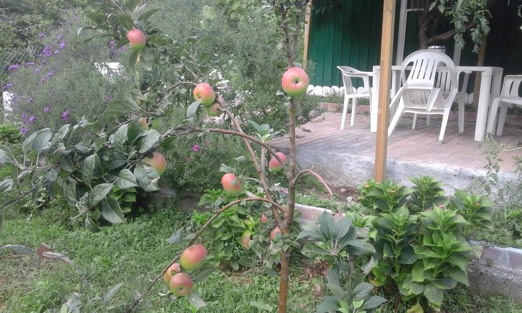 B&B Alle Ortensie Blu Sesta Godano Exterior foto