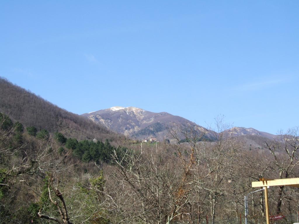 B&B Alle Ortensie Blu Sesta Godano Exterior foto