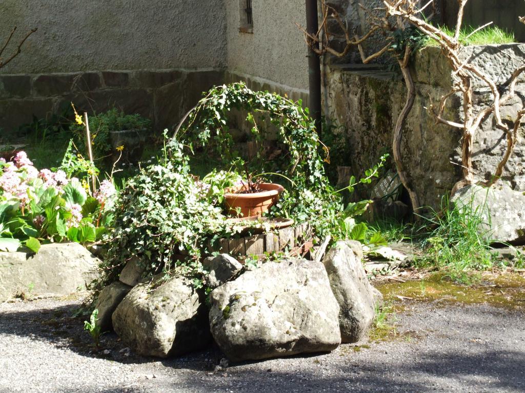 B&B Alle Ortensie Blu Sesta Godano Exterior foto