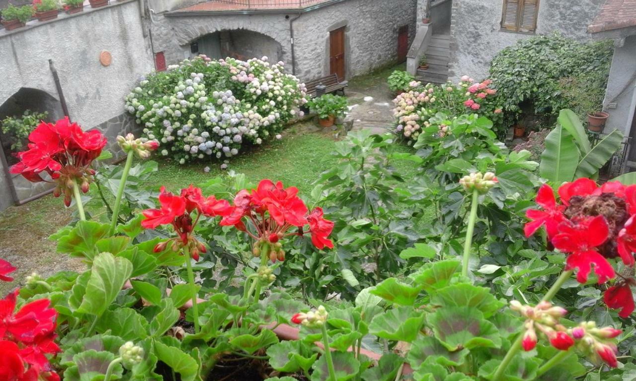 B&B Alle Ortensie Blu Sesta Godano Exterior foto