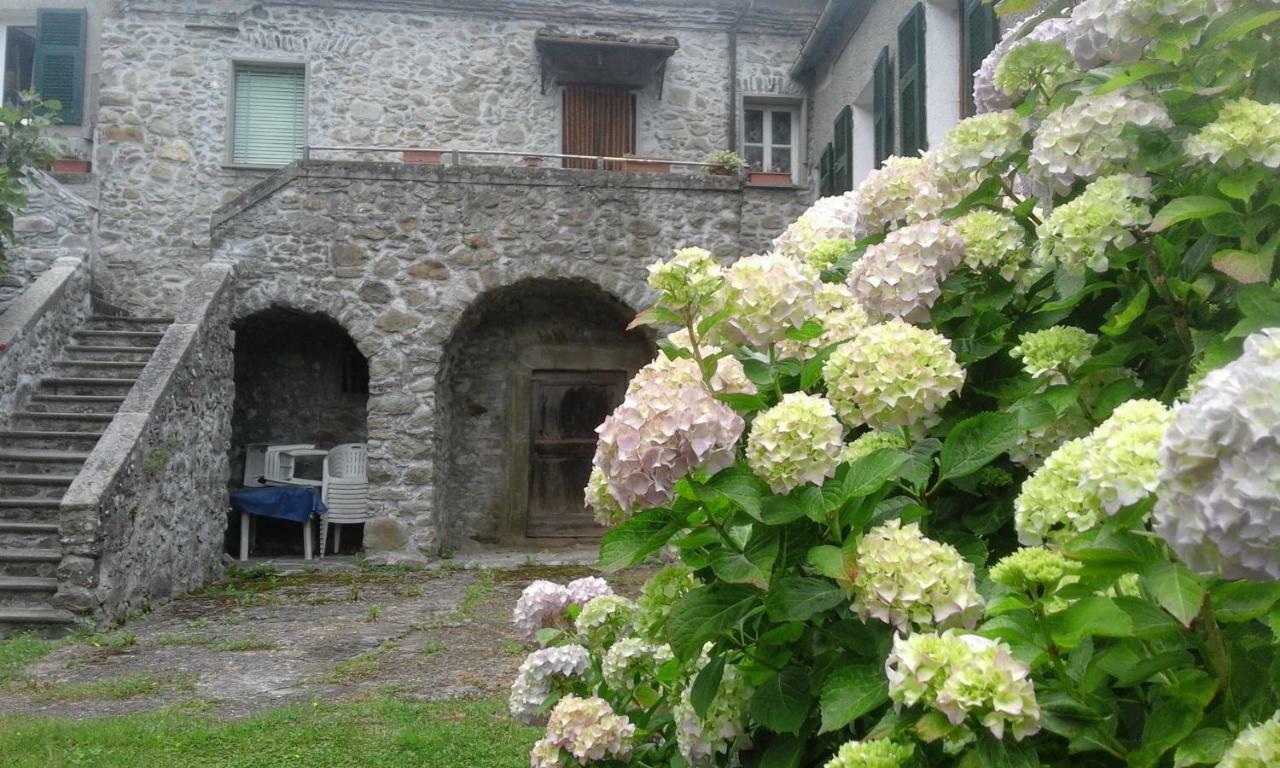 B&B Alle Ortensie Blu Sesta Godano Exterior foto